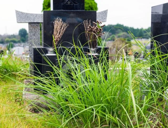 墓じまい・改葬サポート