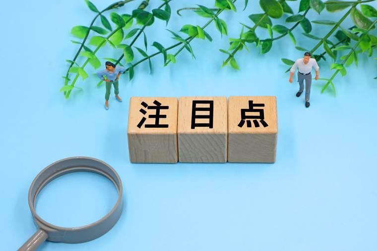 「注目点」と書かれた積み木と虫眼鏡