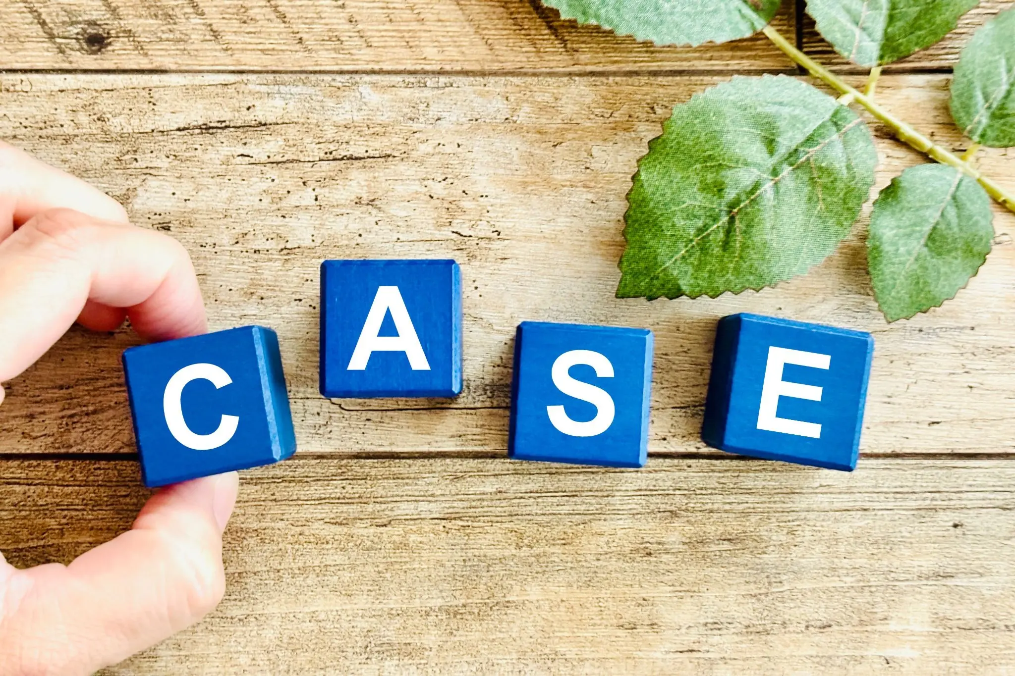 CASE